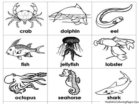 coloring pages ocean creatures