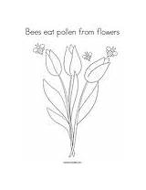 Coloring Pollination Pages sketch template