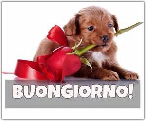 BUONGIORNO FORUM!!!!  Saluti lampo - Pagina 9 Th?id=OIP.APHp6sOY_n9eVQwTH5SyiAEsD5&pid=15