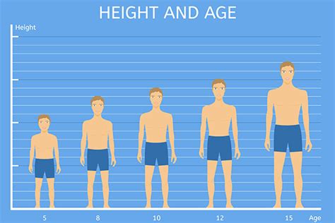 average height    year
