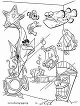 Nemo Coloring Seahorse Procura Bubbles Bloat Gurgle Starfish Moorish sketch template