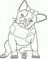 Bulldog Coloring French Pages Printable Dog Terrier Boston Bull Drawing Line American Kids Color Cute Template Getdrawings Print Clipart Drawings sketch template
