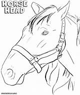 Horse Head Coloring Pages Print Colorings sketch template