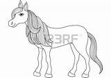 Mares Tails Coloring Designlooter Mane Charming Tail Horse Golden Illustration Cartoon Vector Long sketch template