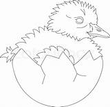 Gosling Egg Hatching Stock Drawing Vector Illustration Getdrawings Hatched sketch template