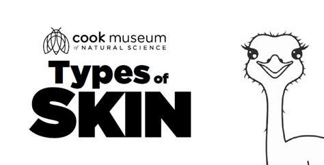 types  skin coloring page cook museum  natural science