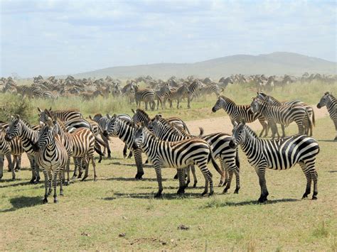 days cultural wildlife hiking northern tanzania