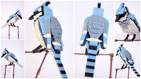 north american birds made from lego in pictures life and style the guardian