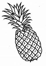Pineapple Clipart Drawing Clip Cliparts Outline Clipartmag Vector Getdrawings sketch template