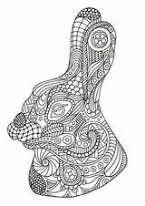 Zentangle Lapin Coloriage Adulti Drawn Dessinée Tête Adults Justcolor sketch template