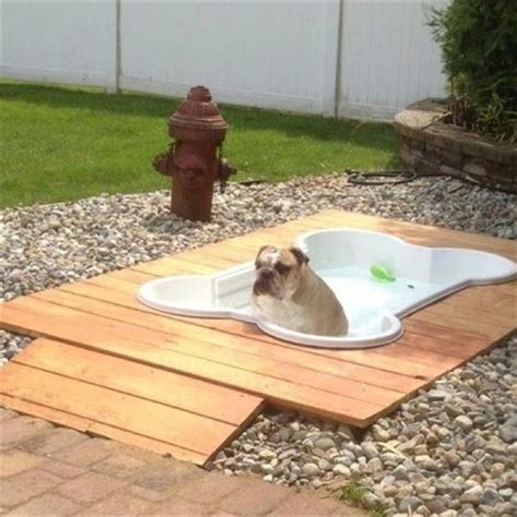 small backyard landscaping  dog
