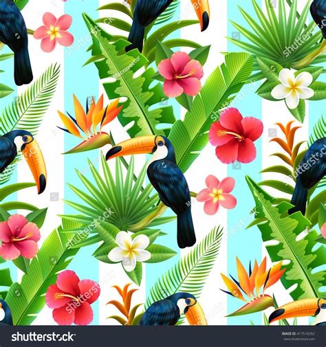 Tropical Rainforest Plants Toucan Bird Paradise Stock