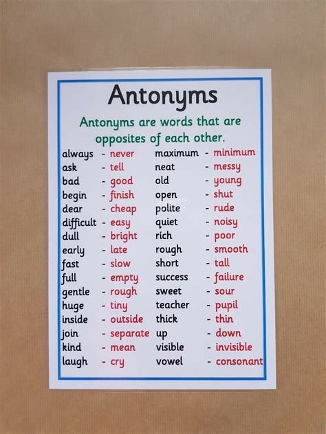 antonyms a4 poster ks2 ks3 literacy english writing teaching