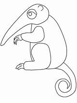 Pages Coloring Animals Anteater Advertisement Comment Kids Coloringpagebook sketch template