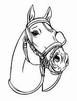 Cavallo Paard Kopf Testa Pferde Hoofd Cheval Pferdekopf Tête Pferd Coloriage Arabian Stockillustration Livre Gestileerd Arabisch Getrokken Piume Ritratto Decorato sketch template