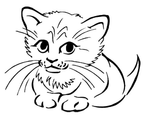 cute baby cat coloring pages