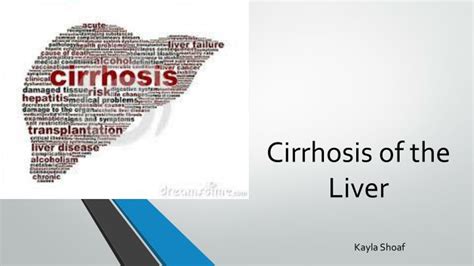 Ppt Cirrhosis Of The Liver Powerpoint Presentation Free Download