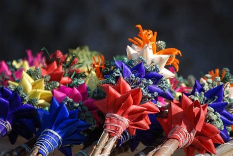 palm sunday palms stock image image  season folklore