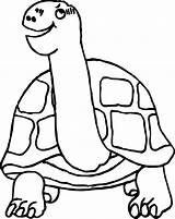 Coloring Tortoise Turtle Think Wecoloringpage sketch template