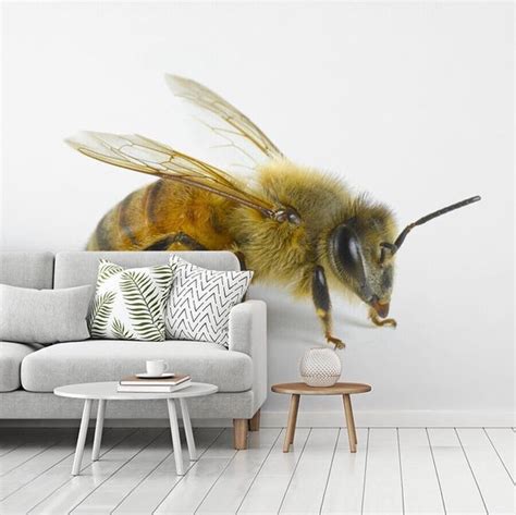 bolcom behang fotobehang bijen insecten vleugel breedte  cm  hoogte  cm