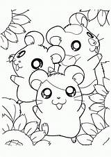 Coloring Trio Kids Hamsters sketch template