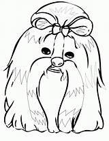 Coloring Shih Tzu Pages Popular sketch template