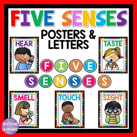 senses posters senses activities   senses senses preschool