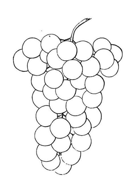 grapes printable coloring page  printable grapes coloring pages