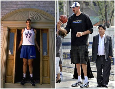 basketball players height chart  shortest  tallest basketball players sports