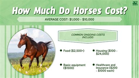 horse prices   purchase cost supplies food