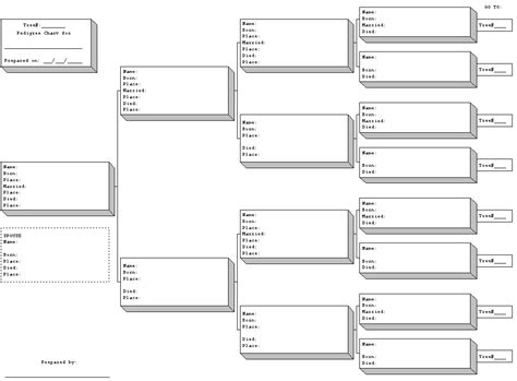 excel pedigree chart template