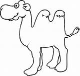 Kameel Kamelen Kleurplatenwereld sketch template