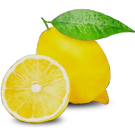lemon vitamin  vegetarian cuisine fruit png    transparent lemon png