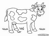 Vaca Manchas Colorare Bauernhof Imagui Kinder Outline Animali Fattoria Animals Domésticos Kuh sketch template