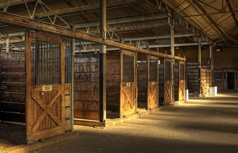 ways   cleaning horse stalls easier