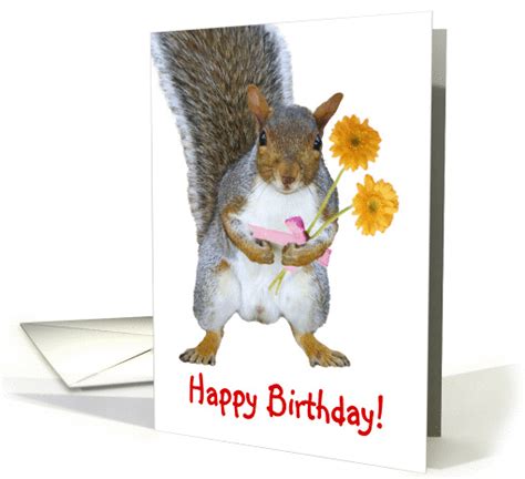 happy birthday squirrel greeting card
