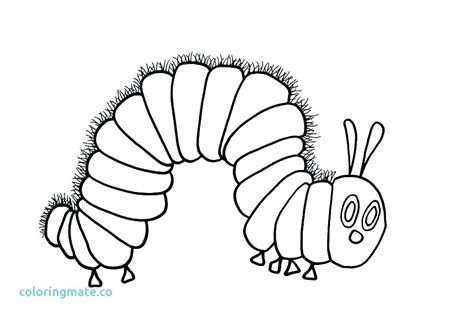 printable caterpillar coloring pages  getcoloringscom