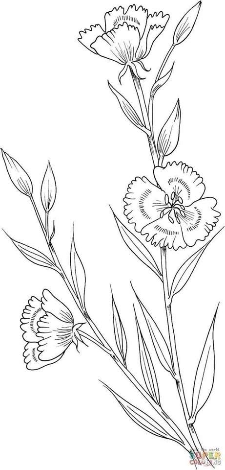 poppy coloring page spring coloring pages flower coloring pages