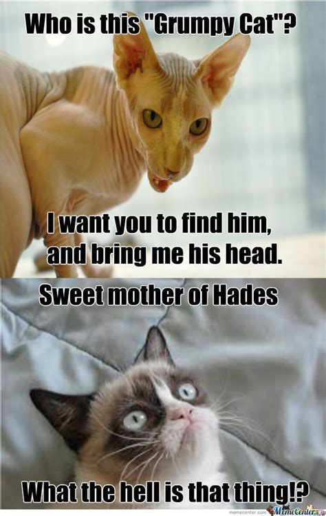 40 grumpy cat memes that you will love funny grumpy cat memes