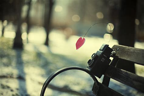 love photography  flickr photo sharing
