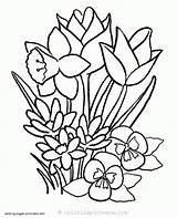 Flori Colorat Desene Plante Planse sketch template