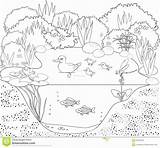 Plants Aquatic Sabadaphnecottage Gcssi sketch template