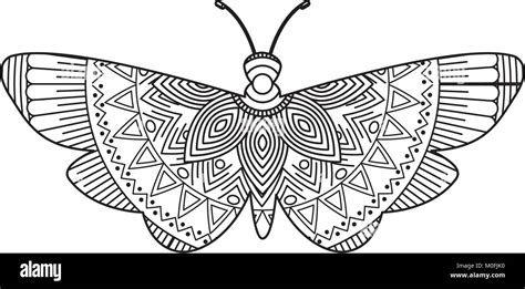hand drawn  adult coloring pages  moth bug zentangle monochrome