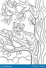 Tigrotto Animali Tigre Coloritura Selvatici Pagine Sveglio Ausmalen Weinig Dieren Kleurende Coloriamo sketch template