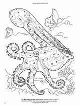 Octopus Dover Coloriage Animal Besuchen sketch template