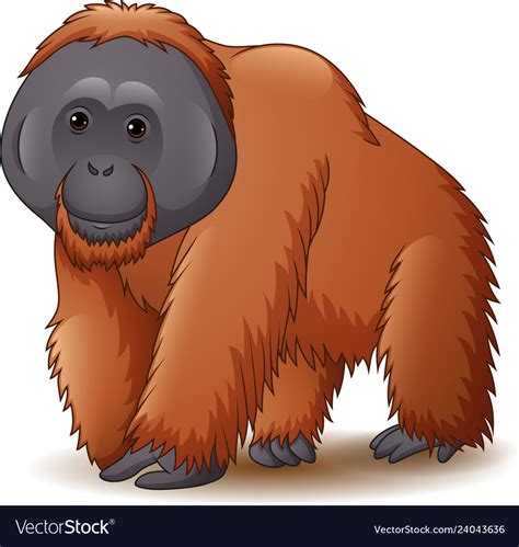 cartoon  orangutan isolated royalty  vector image