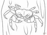 Coloring Pages Crab Halloween Crustacean Hermit Coconut Crabs Drawing Drawings Supercoloring Sketch 1199 5kb Printable Template sketch template