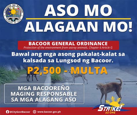 bacoor general ordinance city government  bacoor