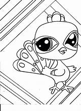 Coloring Pages Pet Littlest Shop Fun Zoe Lips Color Kids Bunny Getcolorings Printable Peacock Lps Sheets Great sketch template