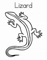 Lizard Outline Drawing Monitor Coloring Getdrawings Line Clipartmag Paintingvalley sketch template